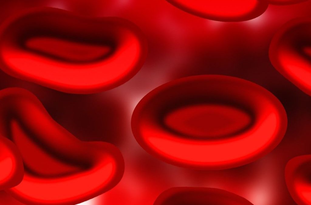 Día 28 de mayo: Día Mundial del Cáncer de Sangre