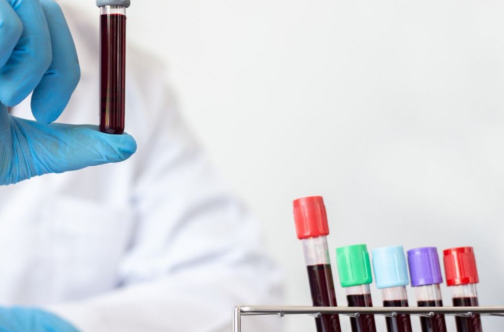 Día 14 de junio: Día Mundial del Donante de Sangre