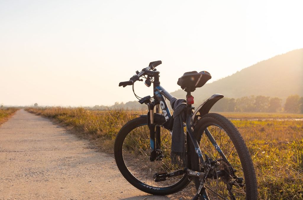 Día 3 de junio: Día Mundial de la Bicicleta