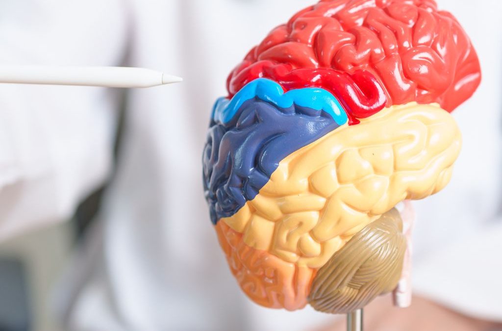 Día 8 de junio: Día Internacional de los Tumores Cerebrales