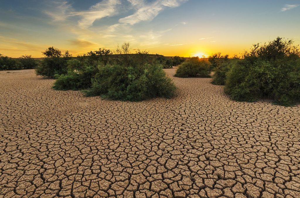 Día 17 de junio: Día de Lucha contra la Desertificación y la Sequía