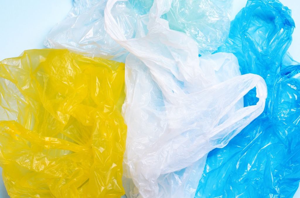 Día 3 de julio: Día Internacional Libre de Bolsas de Plástico
