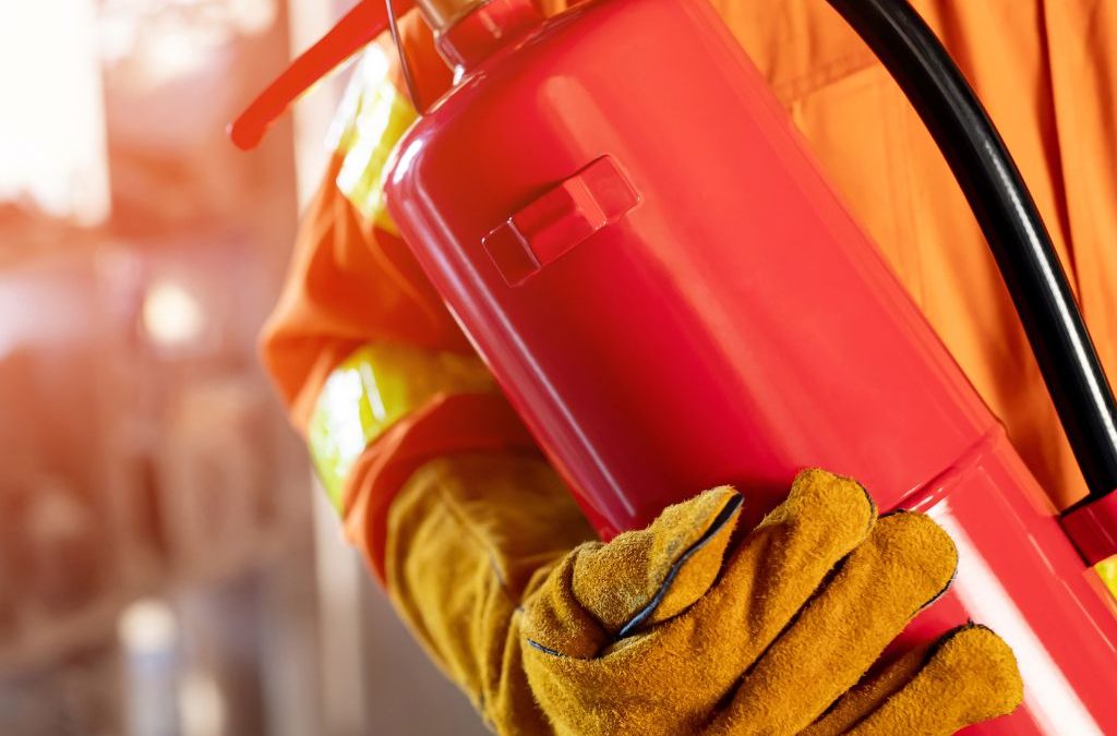 Día 18 de agosto: Día Mundial de la Prevención de Incendios Forestales