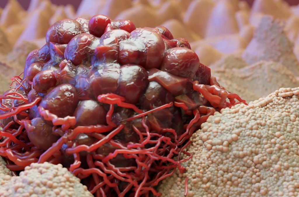Día 24 de septiembre: Día Internacional de Investigación contra el Cáncer