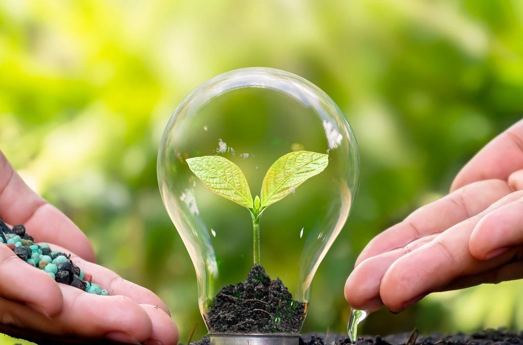 Día 26 de septiembre: Día Mundial de la Salud Ambiental