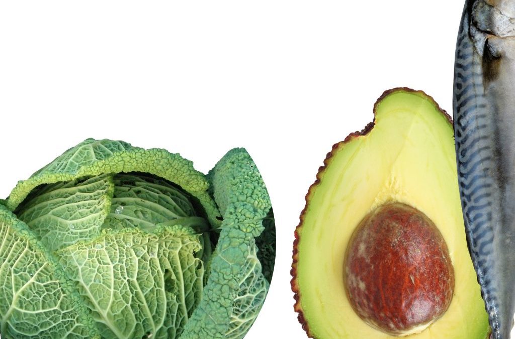 Día 16 de octubre: Día Mundial de la Alimentación