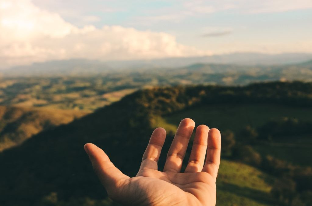 Día 18 de octubre: Día Mundial de Protección de la Naturaleza