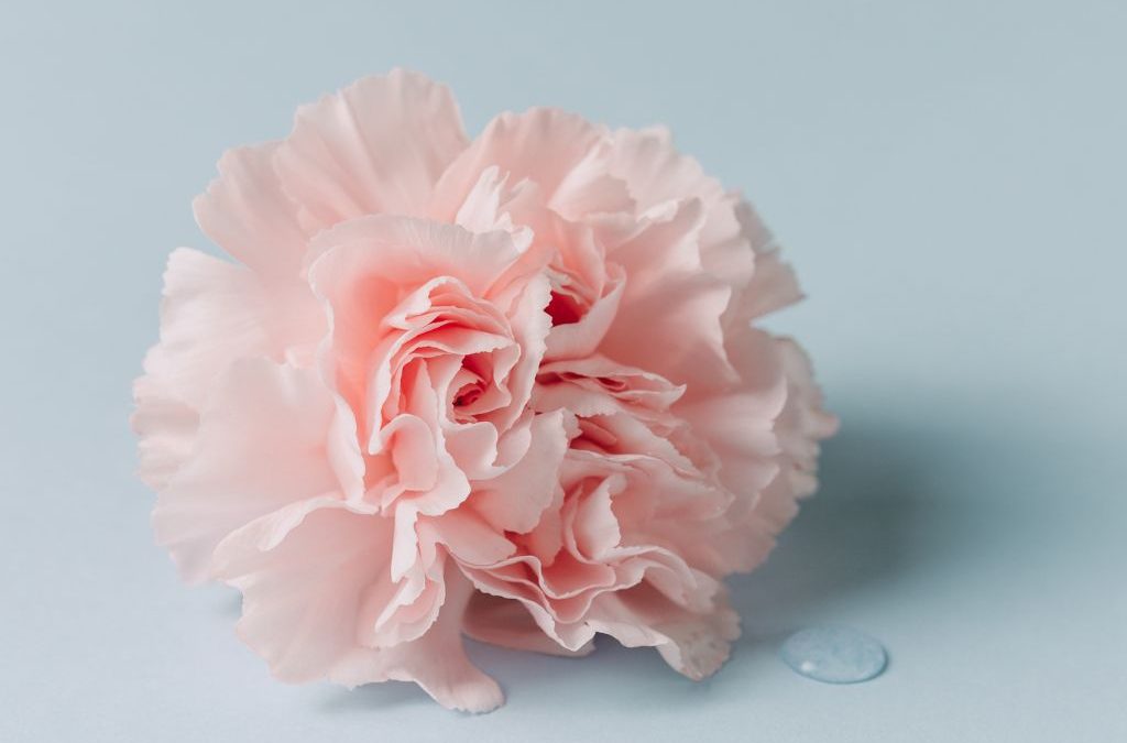 Día 18 de octubre: Día Mundial de la Menopausia