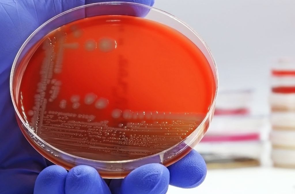Día 5 de octubre: Día Mundial de la Meningitis