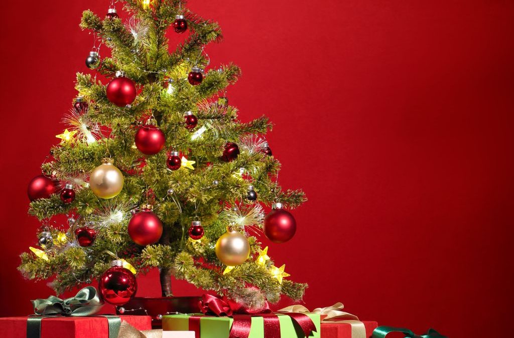 Día 25 de diciembre: Navidad