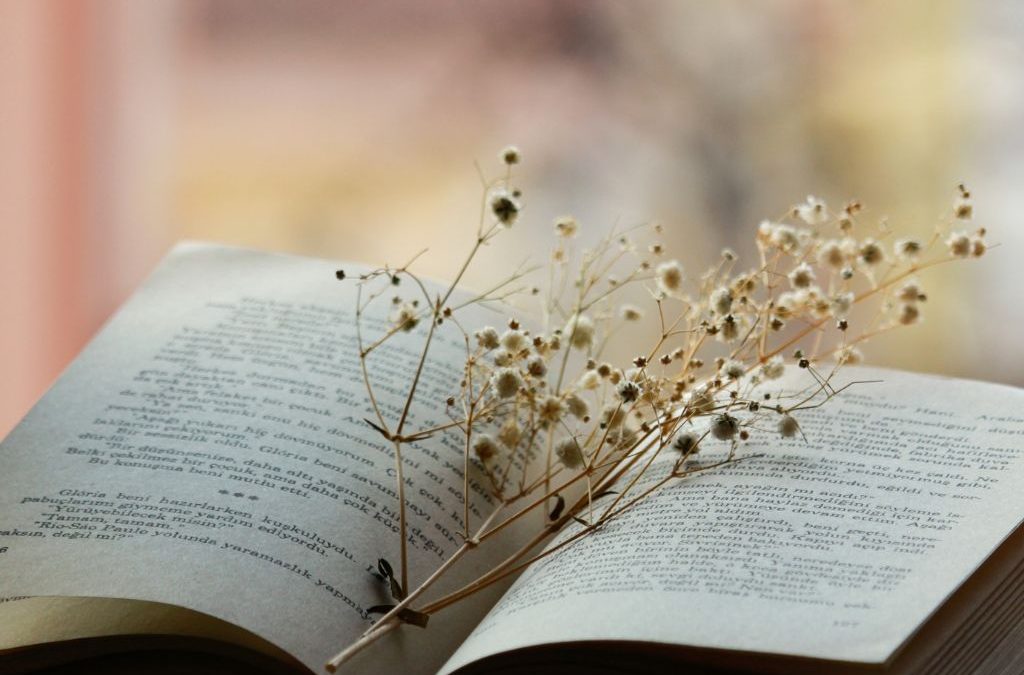 Día 21 de marzo: Día Mundial de la Poesía