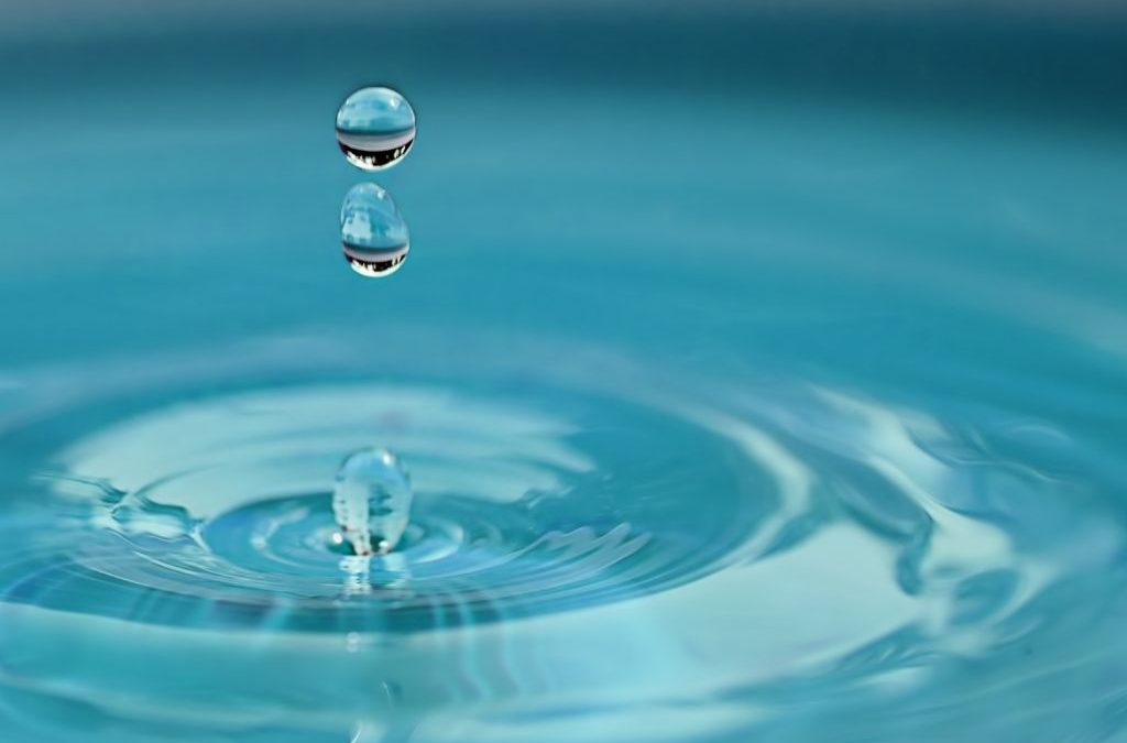 Día 22 de marzo: Día Mundial del Agua