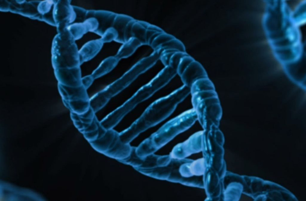 Día 25 de abril: Día Internacional del ADN